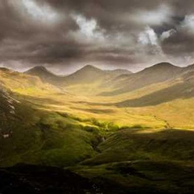 Анна Петрова